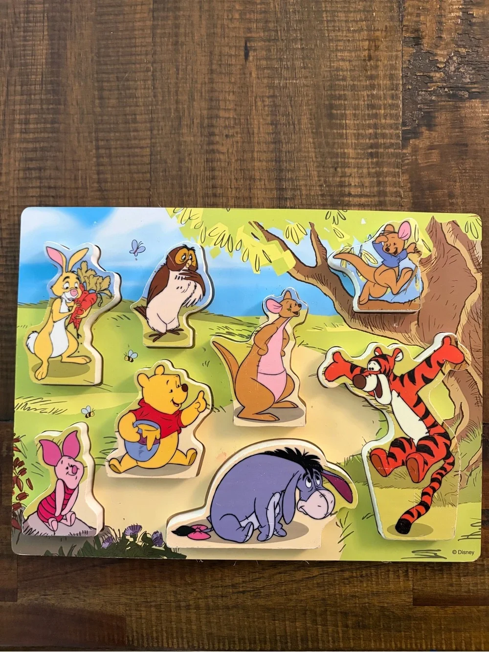 Melissa & Doug Disney Winnie the Pooh wooden chunky puzzle #7183 EXCELLENT!